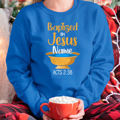 Christian Tee, Christian Faith Unisex T-Shirt/Hoodie/Sweatshirt HLT00 - CHRISTIAN BAPTISM Baptized in Christ Acts 238 T-Shirt