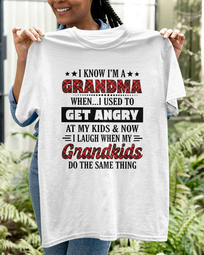 KNOW I'M A GRANDMA WHEN... I USED TO GET ANGRY AT MY KIDS & NOW I LAUGH WHEN MY GRANDKIDS DO THE SAME THING - from grandma virgo00 (SKU07-111)