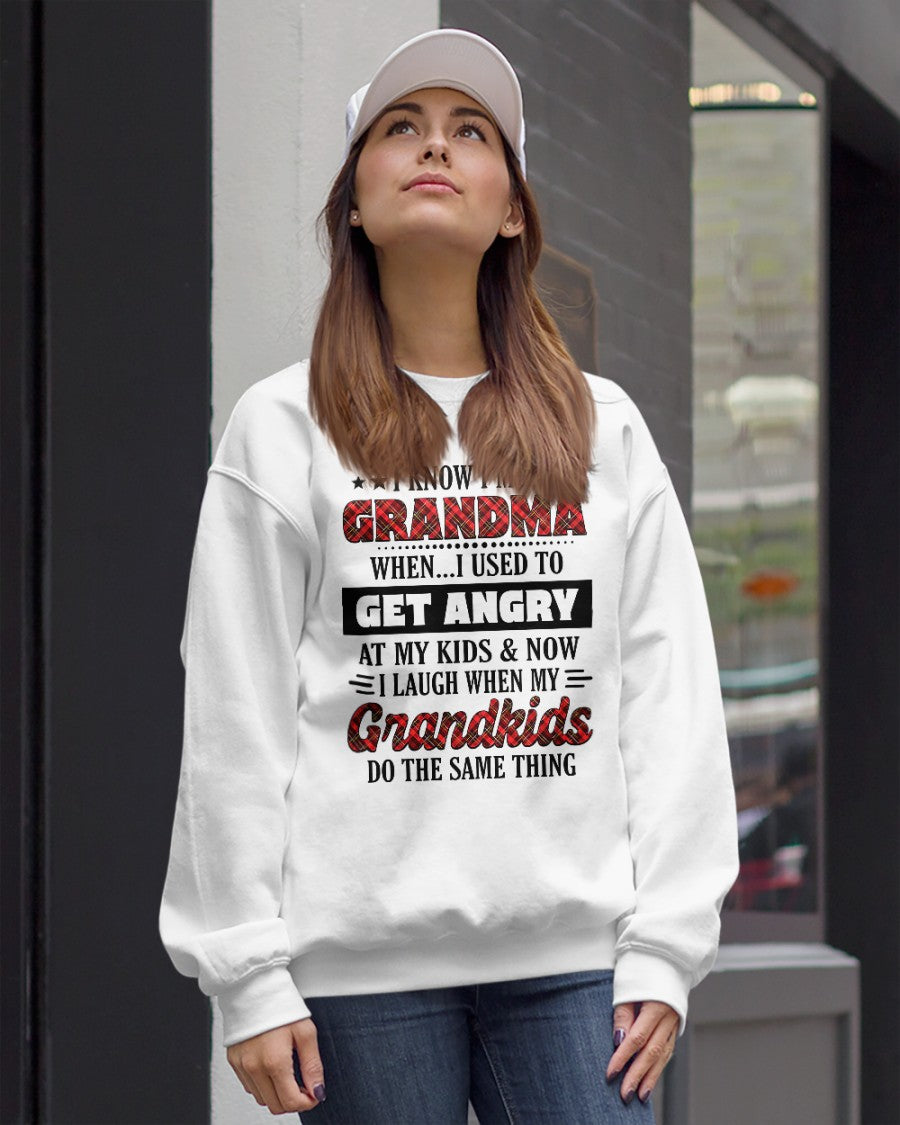 KNOW I'M A GRANDMA WHEN... I USED TO GET ANGRY AT MY KIDS & NOW I LAUGH WHEN MY GRANDKIDS DO THE SAME THING - from grandma virgo00 (SKU07-111)